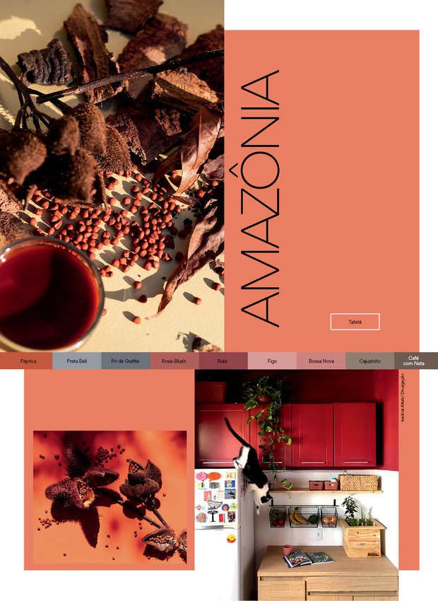 Acima, um mix de espécies da Amazônia. À direita, o vermelho profundo da cor Rubi renovou a antiga cozinha. Abaixo, sementes de urucum, matéria-prima para pigmentos avermelhados (Foto: Isadora Attab / Divulgação)
