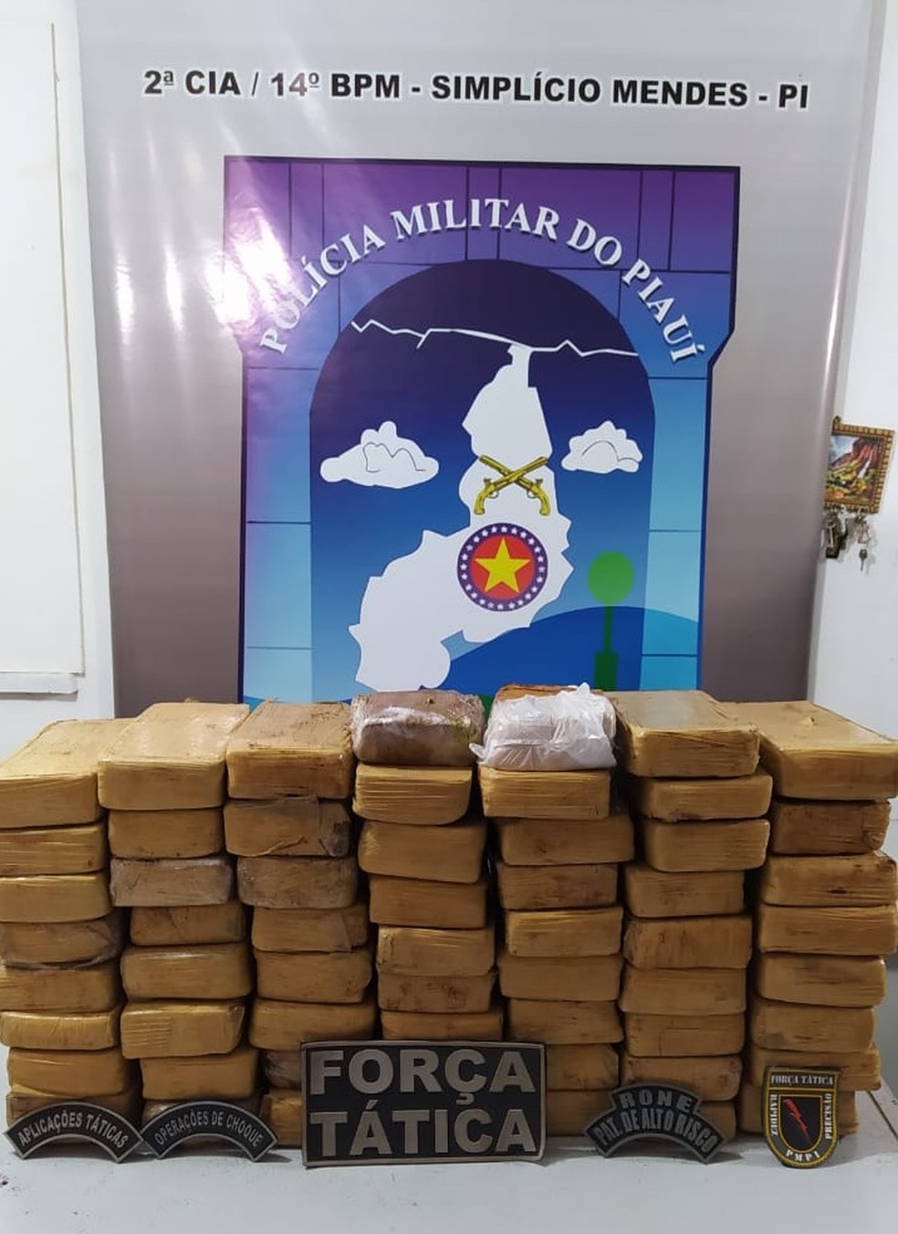 Cerca de 60 quilos de maconha apreendidos em um ônibus a caminho de Floresta do Piauí — Foto: Polícia Militar
