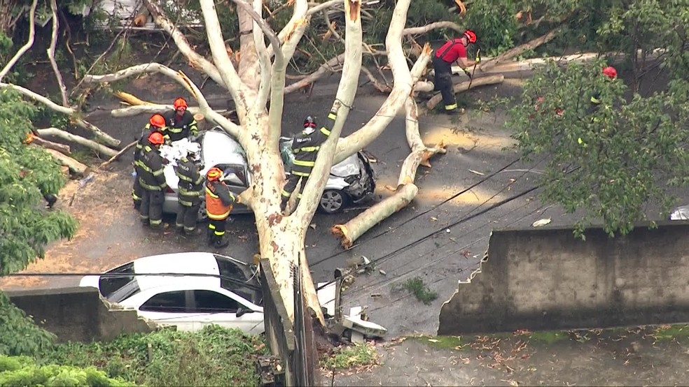 Queda de árvore na Santa Cruz em São Paulo — Foto: Reprodução/GloboNews