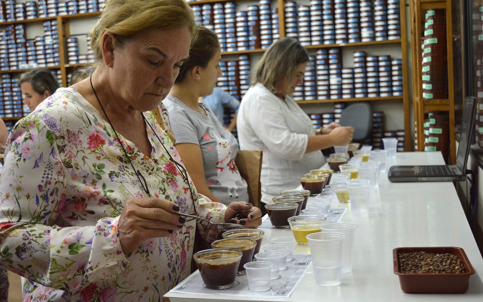 Produtoras da Alta Mogiana paulista e mineira integram a Associação Internacional de Mulheres do Café (IWCA)  — Foto: Divulgação