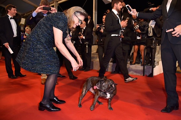 Cachorro de Carrie Fisher rouba a cena no Festival de Cannes (Foto: Getty Images)