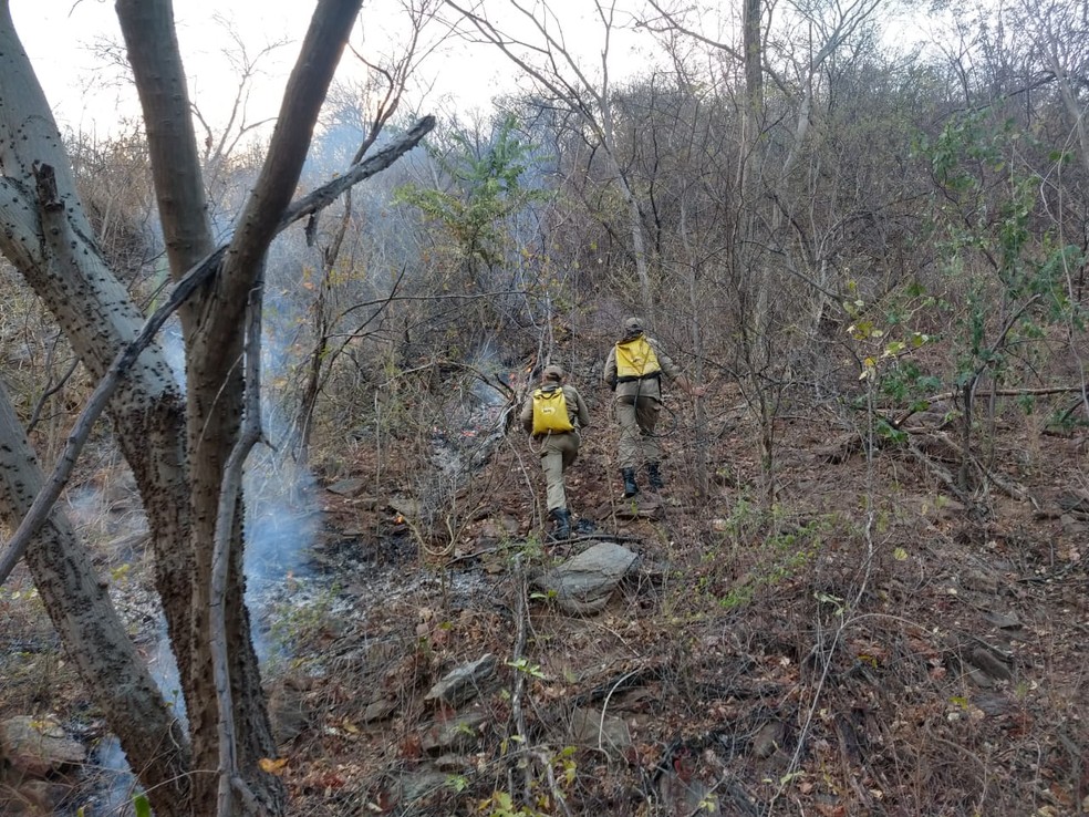 Principais focos do incêndio foram controlados, mas fogo não foi totalmente extinto — Foto: Divulgação/Corpo de Bombeiros