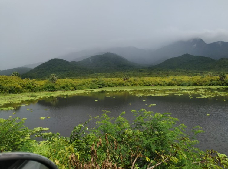 Região da Ibiapaba no Ceará recebe os maiores volumes de chuvas entre domingo e segunda