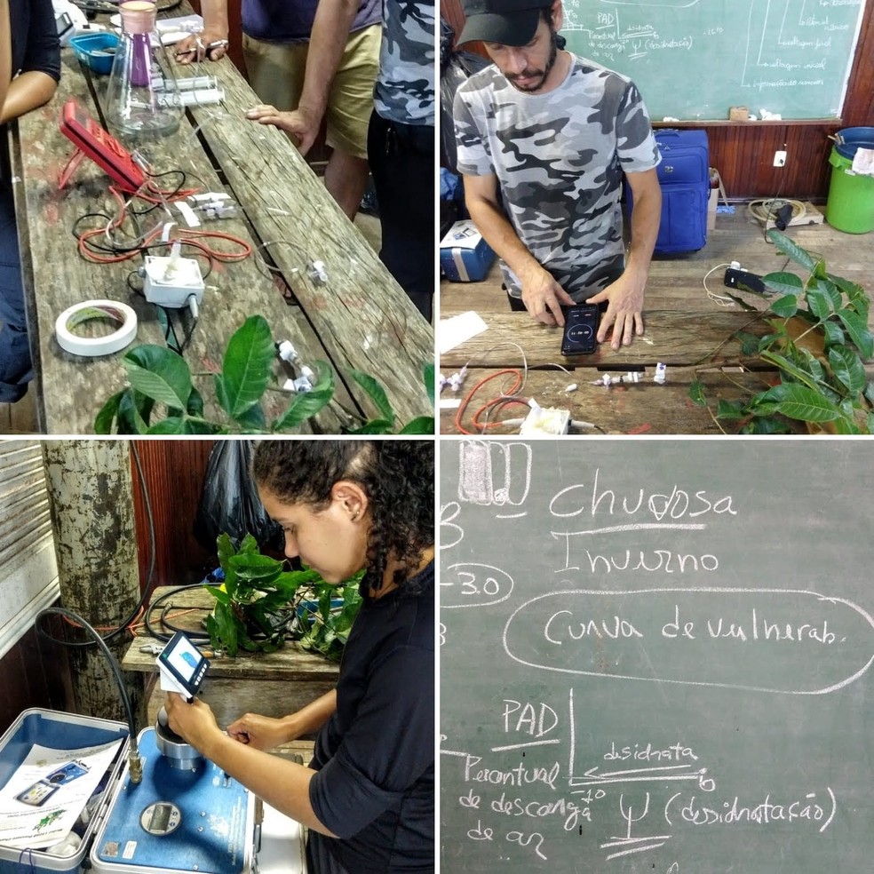 Grupo de pesquisadores acreanos assina coautoria de estudo sobre efeito de secas em florestas tropicais. — Foto: Arquivo pessoal