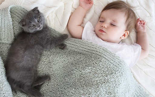 Cama de gato para bebês: como fazer em casa