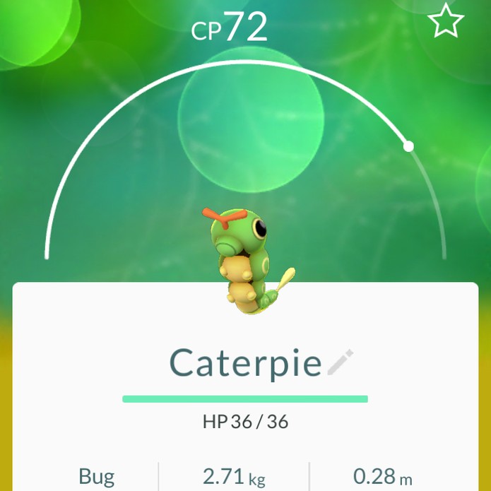 Caterpie em Pokémon Go (Foto: Reprodução/Felipe Vinha)