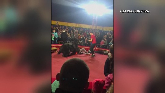 Urso ataca treinador durante espetáculo em circo na Rússia; veja vídeo