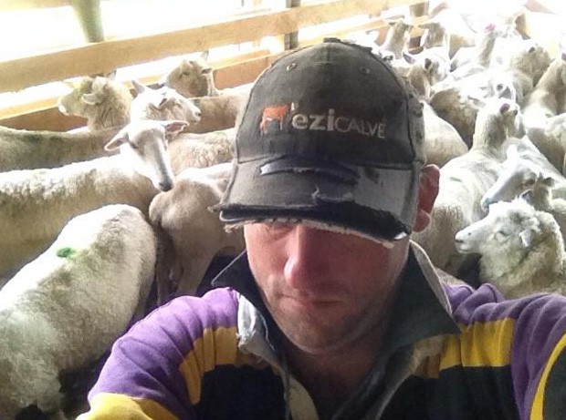 Neozelandês registrou 'felfie' com ovelhas ao fundo em fazenda (Foto: Reprodução/Twitter/MorrisonFarming )