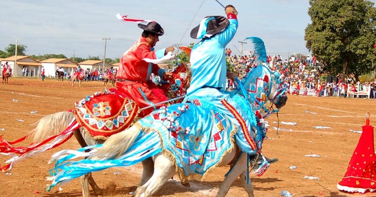 Cavalos pastando no pantanal mato-grossense pocone mato grosso brasil