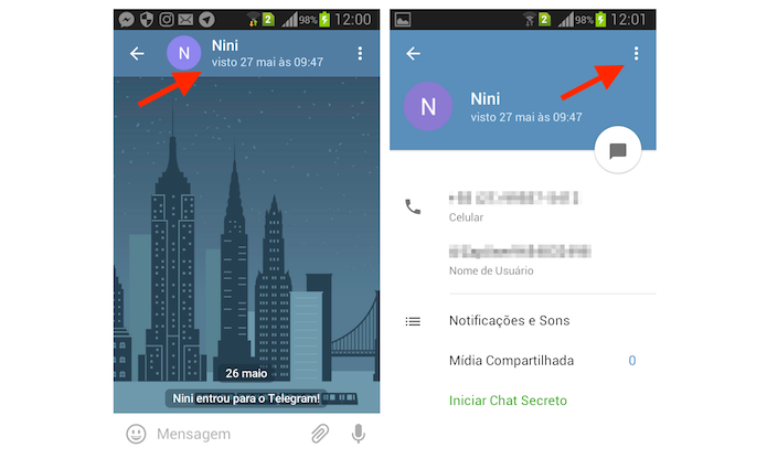 Acessando as opções para um chat do Telegram no Android (Foto: Reprodução/Marvin Costa)