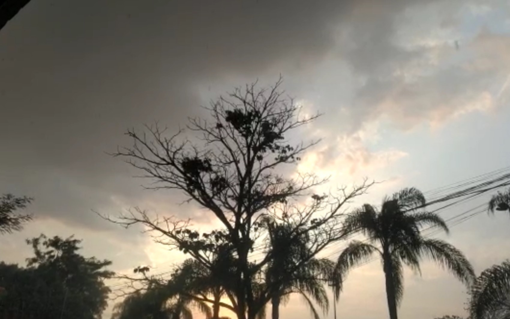 Goiás pode ter tempestade com rajadas de vento, raios e até granizo, diz Cimehgo