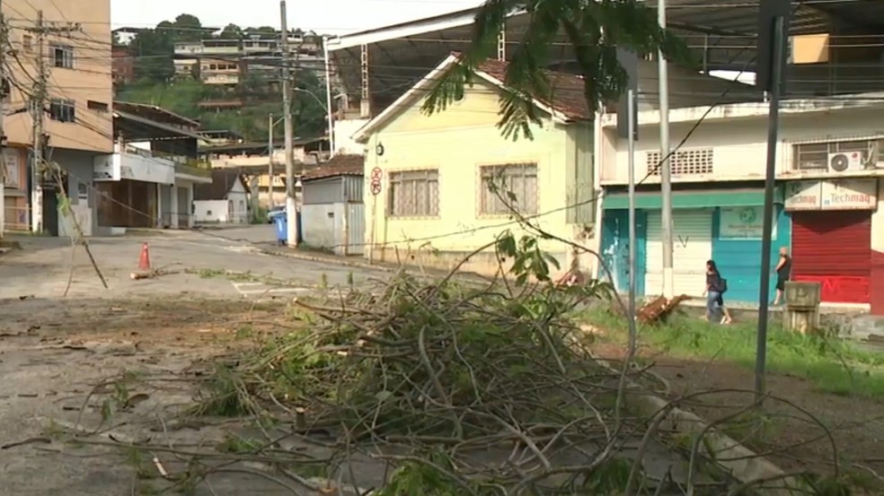 Galhos da árvore que caiu em Cachoeiro — Foto: Reprodução/TV Gazeta