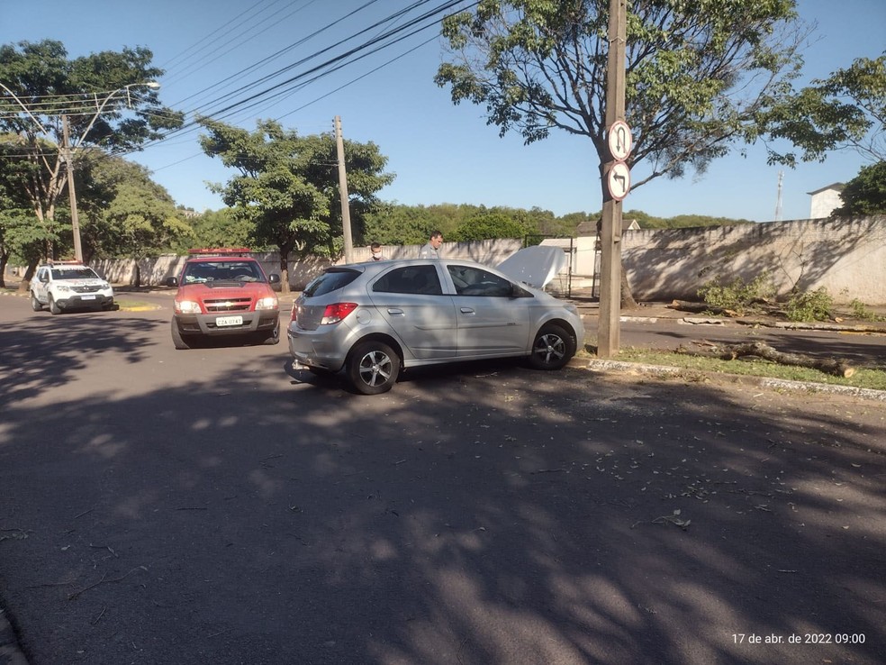 Homem bateu carro em árvore na Avenida da Saudade, em Presidente Prudente (SP) — Foto: Cedida
