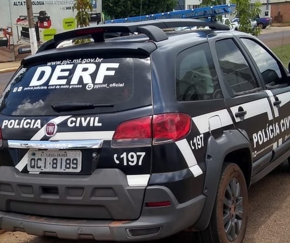 Equipe da Delegacia de Roubos e Furtos de Cuiabá (Derf) realizou as investigações — Foto: Polícia Civil