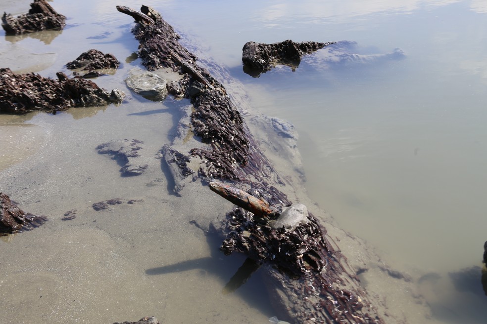 Ficas de mental nos destroços de navio são encontrados na praia do Embaré, em Santos, SP — Foto: José Claudio Pimentel/G1
