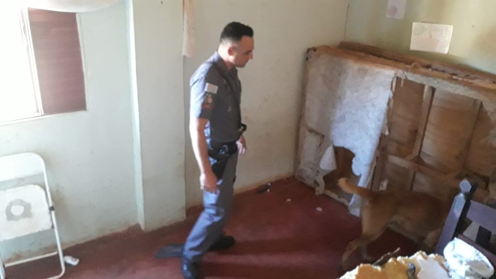 Homem é preso por prender e torturar mulher com choques elétricos em chácara em Santa Cruz do Rio Pardo — Foto: Polícia Militar/Divulgação