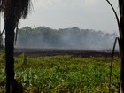 Defesa Civil registra quase 1,3 mil queimadas em novembro no Amapá