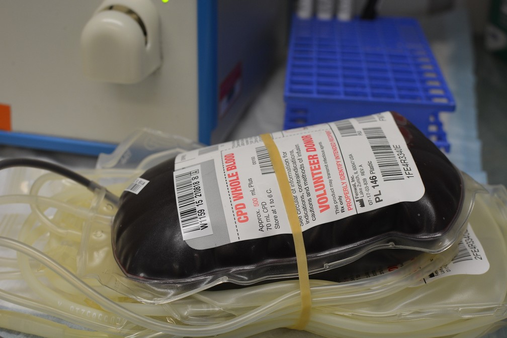 As técnicas de doação de sangue só se popularizaram recentemente  — Foto: Pixabay