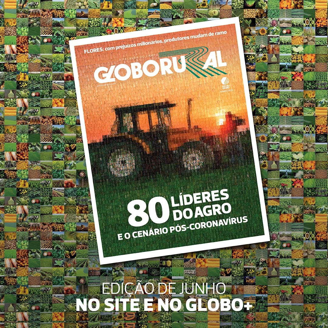 AgRural  Globo Rural