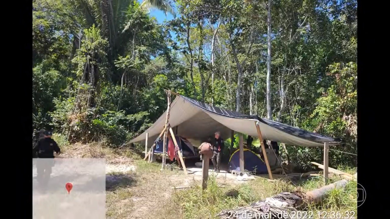 PF faz operação contra exploração ilegal de madeira e garimpo em RO
