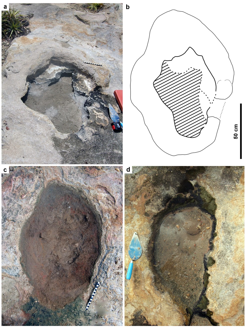 Pegadas de dinossauros foram identificadas pela primeira vez no Rio Grande do Norte RN  — Foto: Divulgação/UFRN