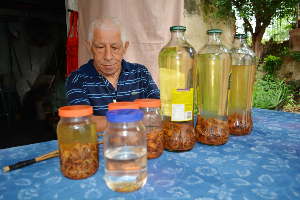 Sebastião Leme guarda escorpiões em potes em Santa Bárbara d'Oeste — Foto: Fernando Jacomini/G1