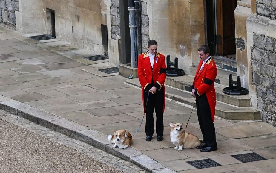 Rainha Elizabeth II: Corgis participam do funeral da rainha da Inglaterra