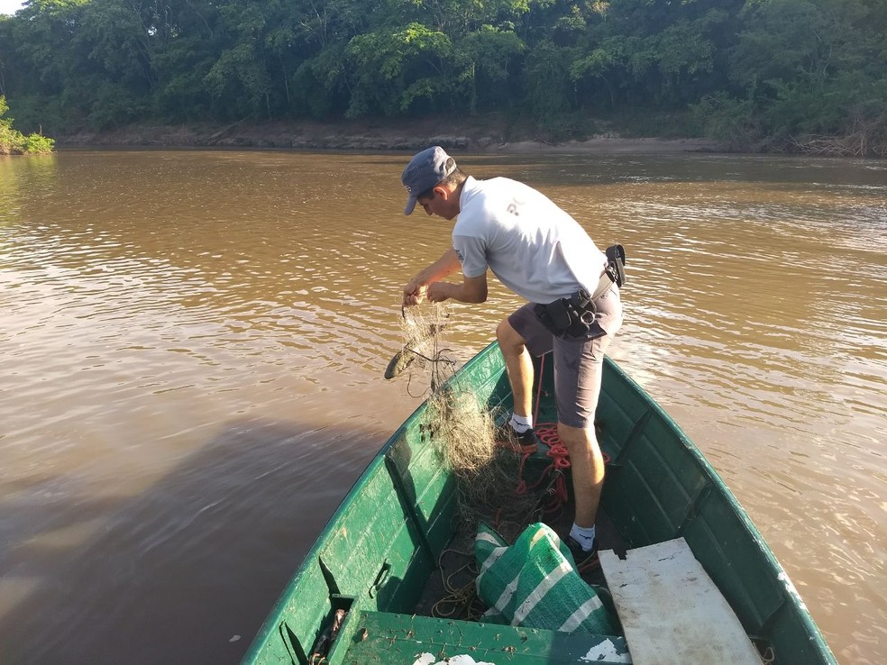 Peixes encontrados vivos durante fiscalização foram devolvidos ao Rio Aguapeí, em Lucélia (Foto: Polícia Militar/Cedida)