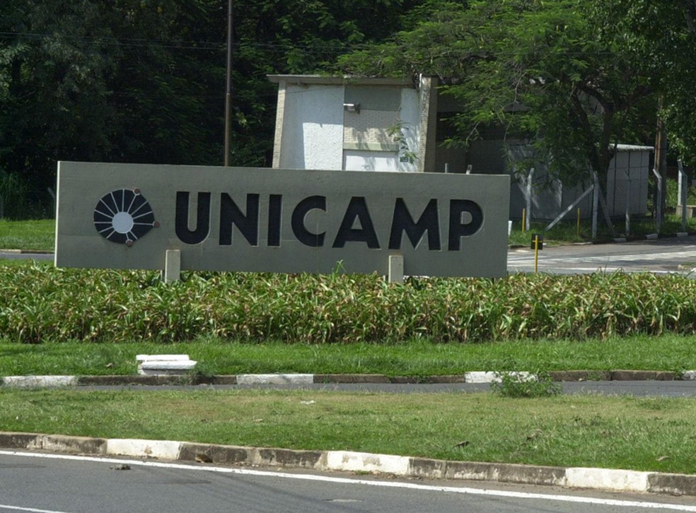  Num primeiro levantamento, a Unicamp dá conta de pelo menos 40 bolsas recolhidas após decisão da Capes. — Foto: Inaê Miranda