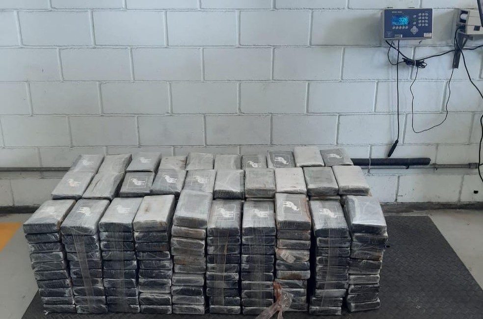 Foram apreendidos 326 quilos de cocaína no Porto de Santos, SP — Foto: Divulgação/PF