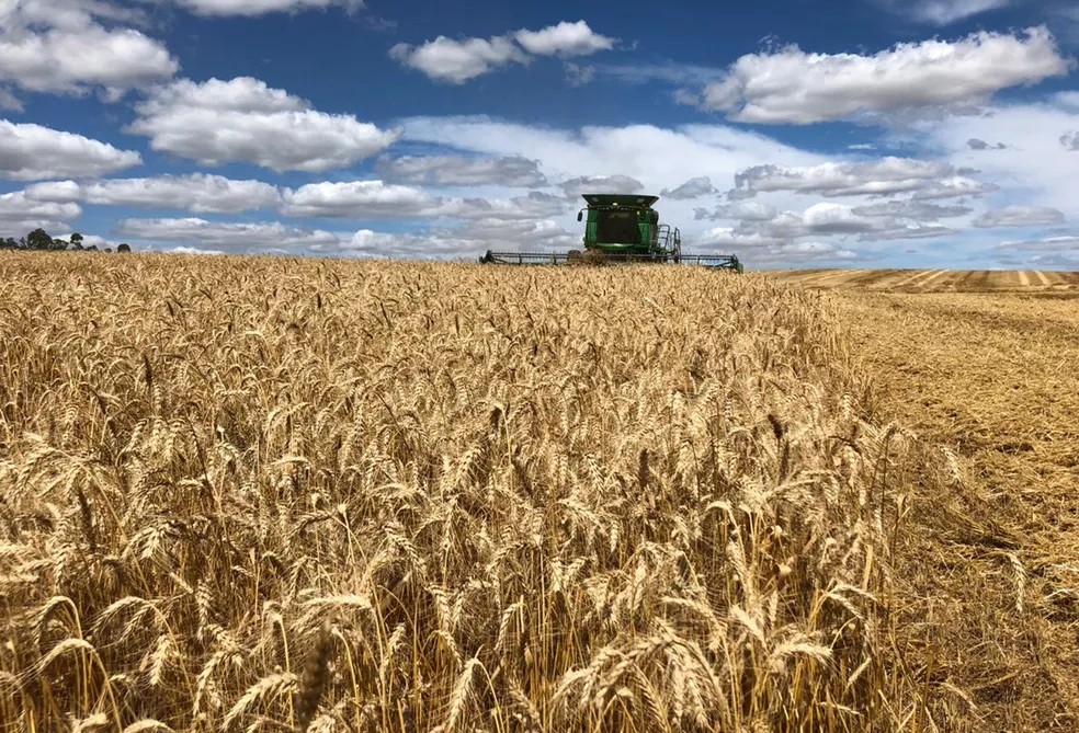 The idea Brazil is discussing is that emergency corridors should be established to ensure flow of food and raw materials — Foto: FecoAgro/RS