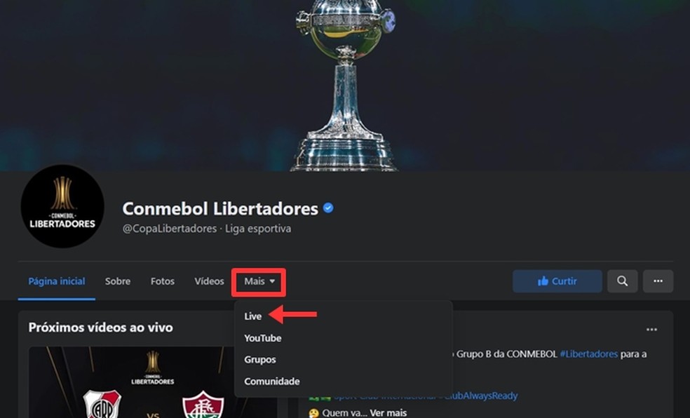 River Plate X Fluminense Ao Vivo Onde Assistir Ao Jogo Da Libertadores Streaming Techtudo