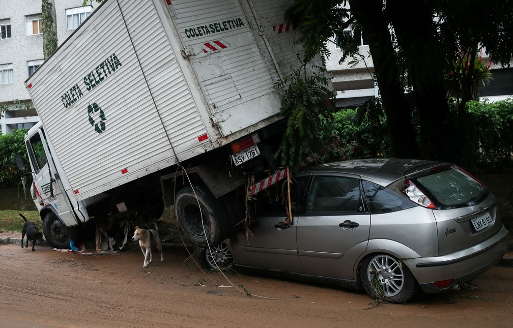 Cachorros passam ao lado de veículos destruídos após o temporal em Petrópolis (RJ) — Foto: Ricardo Moraes/Reuters