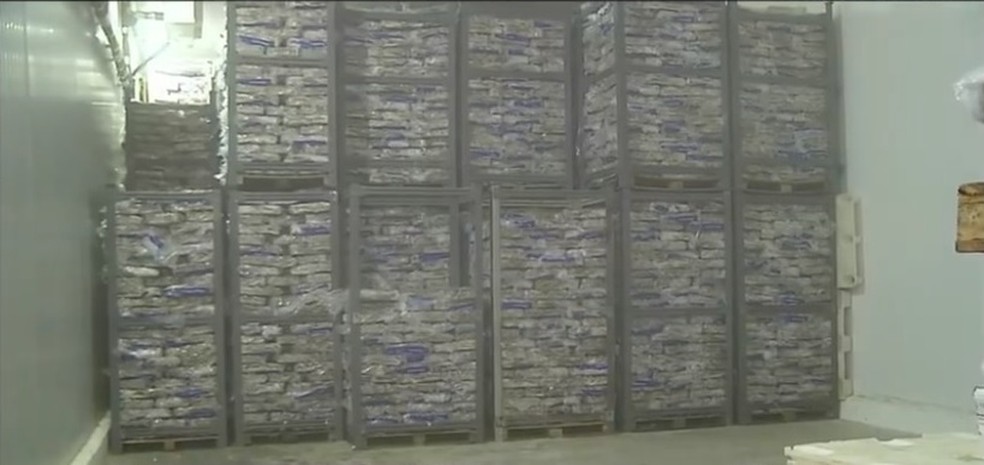 Toneladas de peixes foram congelada no RN por falta de compradores — Foto: Reprodução/Inter TV Cabugi
