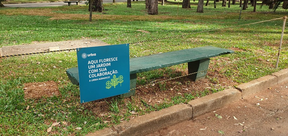 Área com corda de isolamento no Parque Ibirapuera para recuperação de jardim. — Foto: Marina Pinhoni/g1