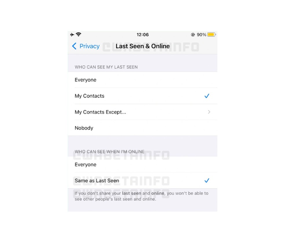 Print flagrado da função para tirar o status online sendo testada em iOS — Foto: Reprodução/WABetaInfo