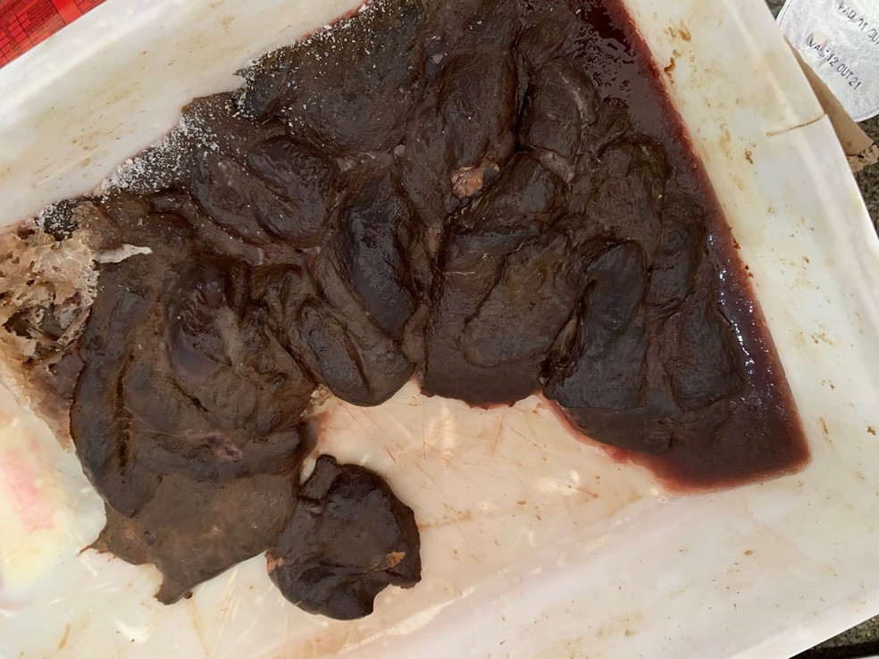 Carnes estragadas foram encontradas em frigoríficos da parte alta de Maceió — Foto: Vigilância Sanitária