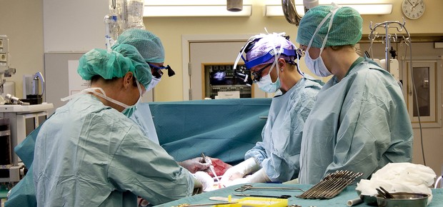 Equipe sueca pratica antes de realizar transplantes de útero (Foto: Johan Wingborg/GU)