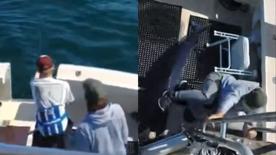 Vídeo registrou momento em que tubarão saltou para dentro de barco nos Estados Unidos
