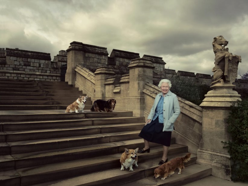 A rainha com seus cães da raça corgi, em Windsor, na sessão de 2016