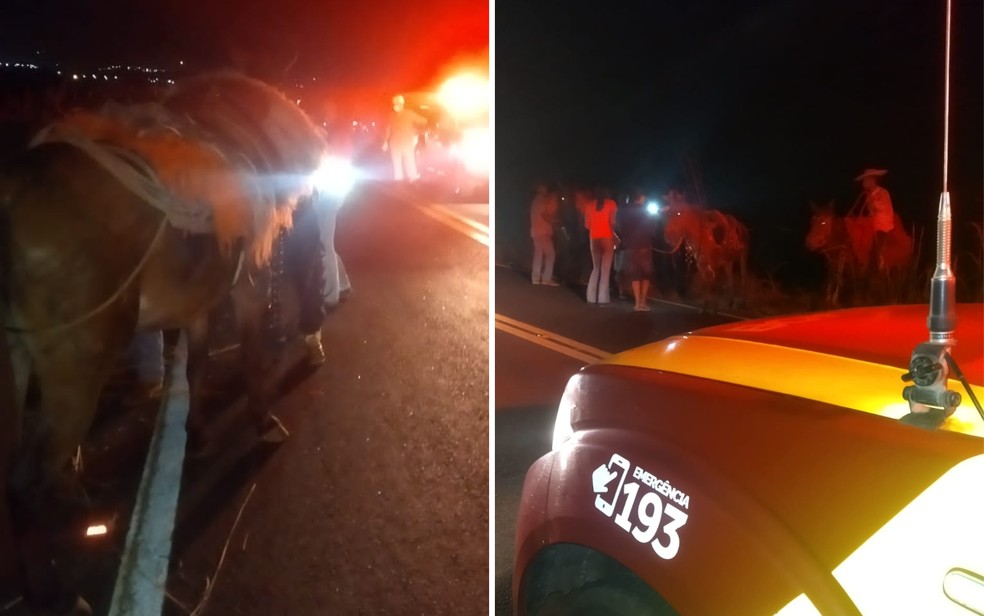 Cavaleiros são atingidos por motociclista na GO-480, em Rialma — Foto: Divulgação/Corpo de Bombeiros