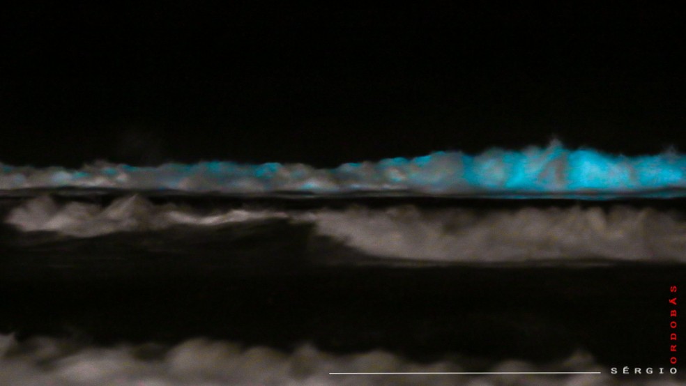 Bioluminescência é visível ao olho nu, explica especialista — Foto: Sérgio Ordobás