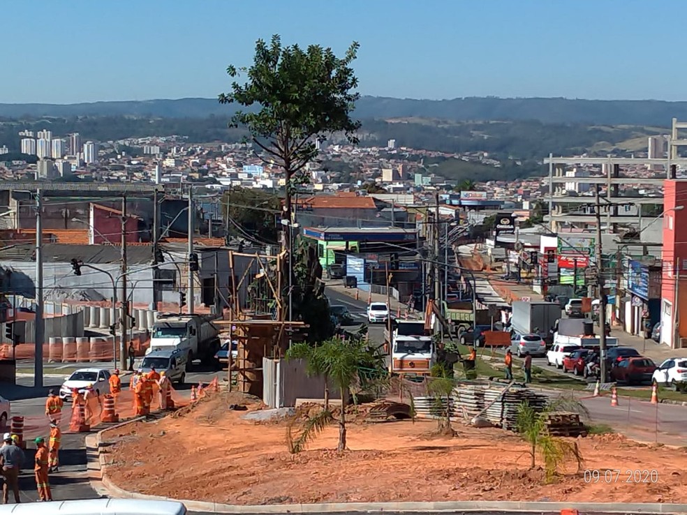 Retirada de &aacute;rvore para constru&ccedil;&atilde;o de viaduto causa repercuss&atilde;o na web &mdash; Foto: Reprodu&ccedil;&atilde;o/Julio Leite