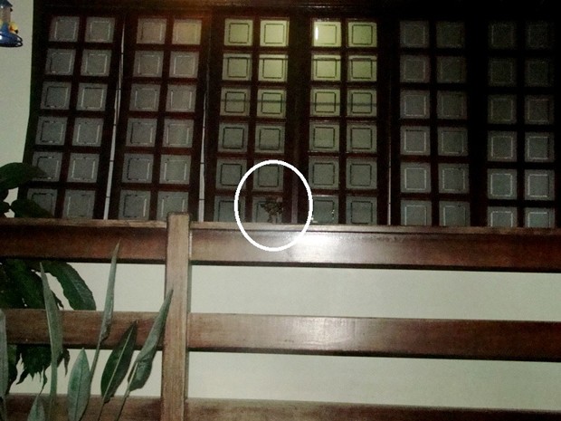 Foto mostra onde pedra foi lançada contra janela da residência (Foto: Luciano Lopes / TV F5.com)