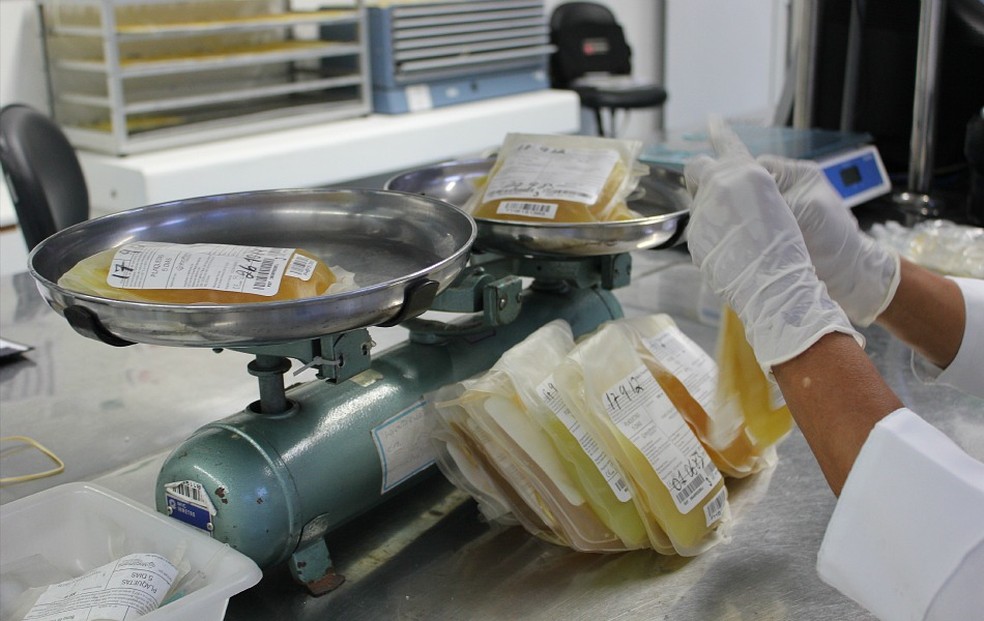 Segundo Ministério da Saúde, fábrica para fracionamento de plasma na Hemobrás também requer investimentos privados (Foto: Girlene Medeiros / G1 AM)
