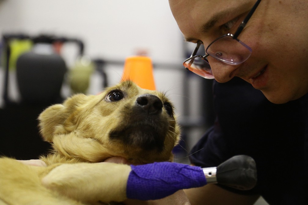 Monica e seu veterinário, responsável pela cirurgia — Foto: Rostislav NETISOV / AFP