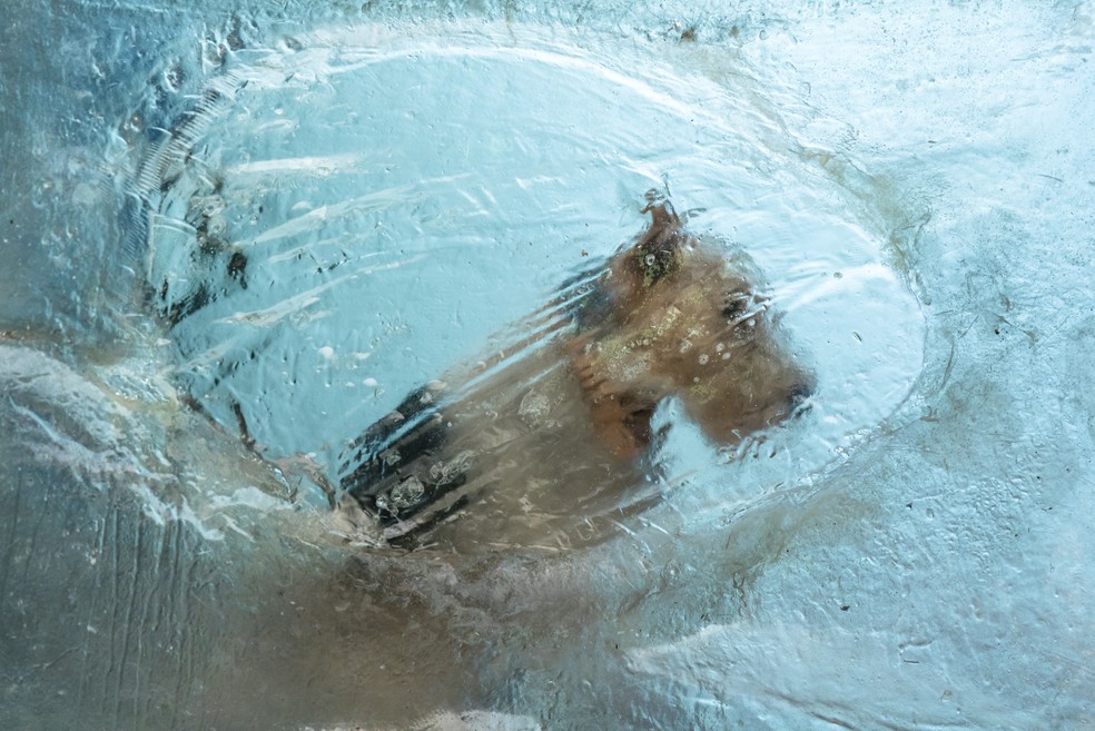 Pirata tambÃ©m foi congelado durante o naufrÃ¡gio (Foto: Sergio Zalis/Globo)