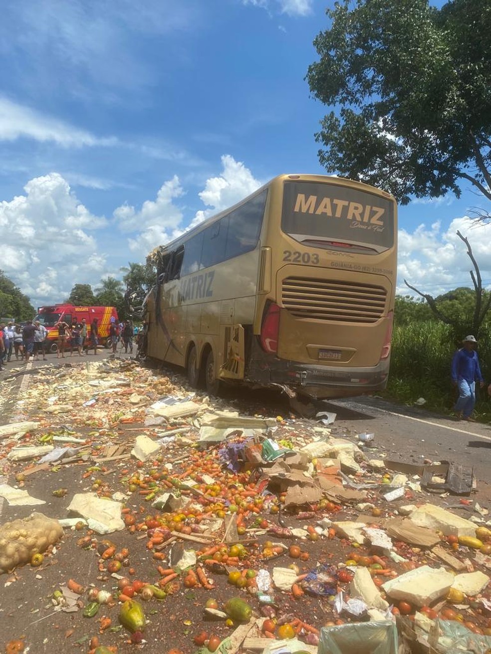 Carreta transportava legumes e verduras e carga ficou espalhada na via — Foto: Reprodução