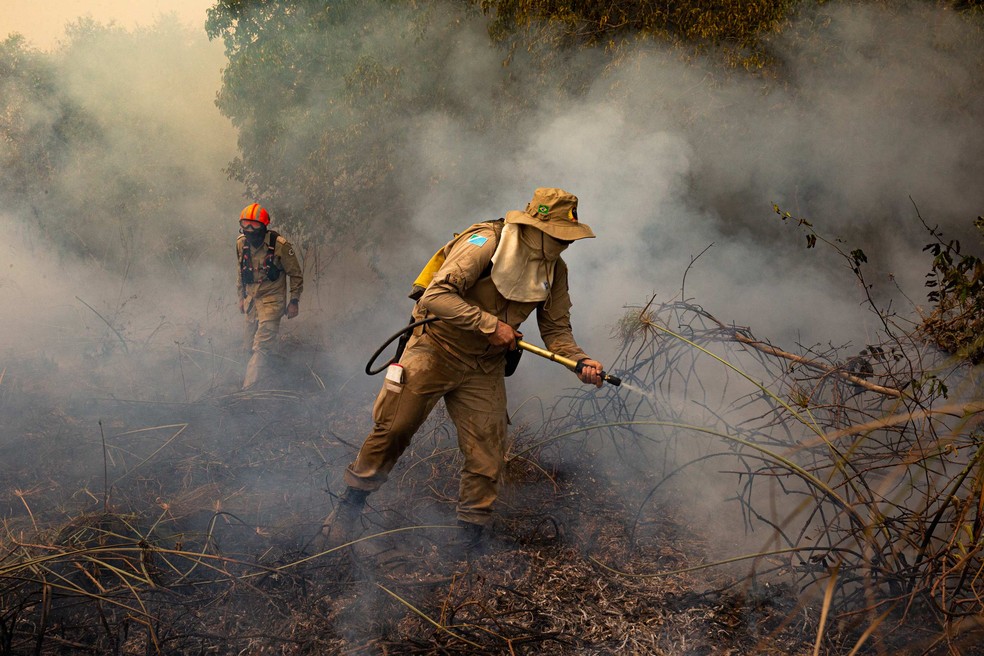 Bombeiros combatem queimadas no Pantanal. — Foto: Araquém Alcântara/Divulgação