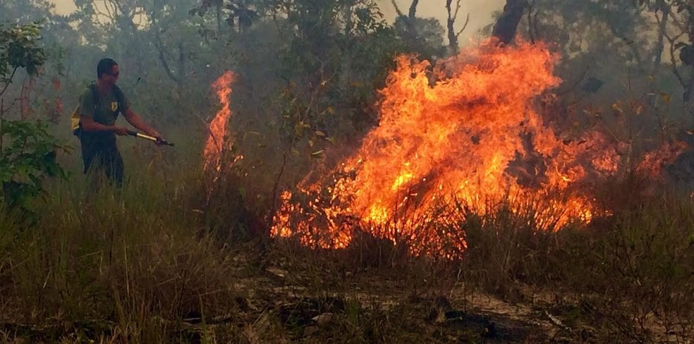 Voluntário combatendo incêndio em Alter do Chão — Foto: Semma/Divulgação